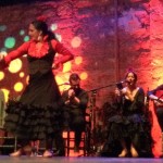 Flamenco Study